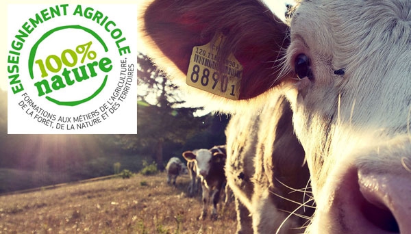 Concours de l’enseignement agricole
