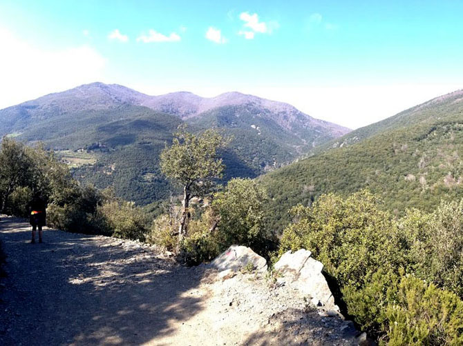 Randonnée dans le parc naturel Montseny.