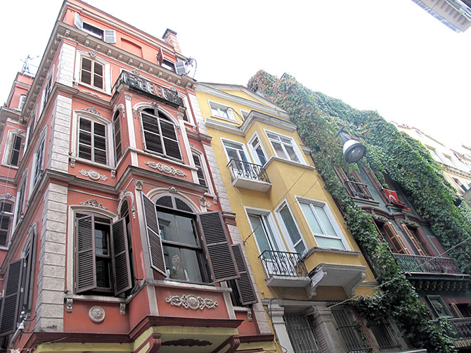 Les immeubles colorés parcourus par des branches de vignes - quartier de Cihangir.