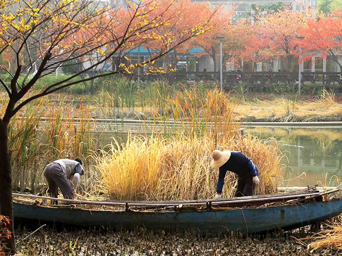 Seoul Forest.